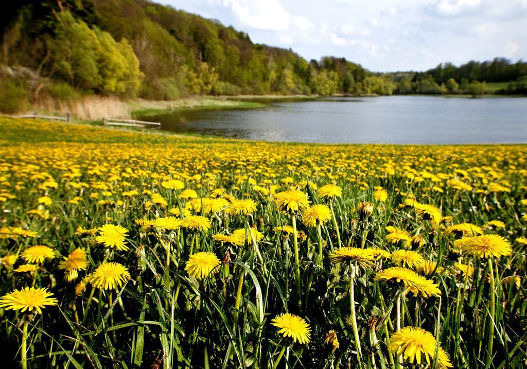 Uferpromenade Daire Waren  Dış mekan fotoğraf